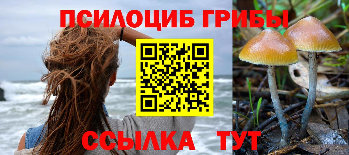 Галлюциногенные грибы мицелий Партизанск